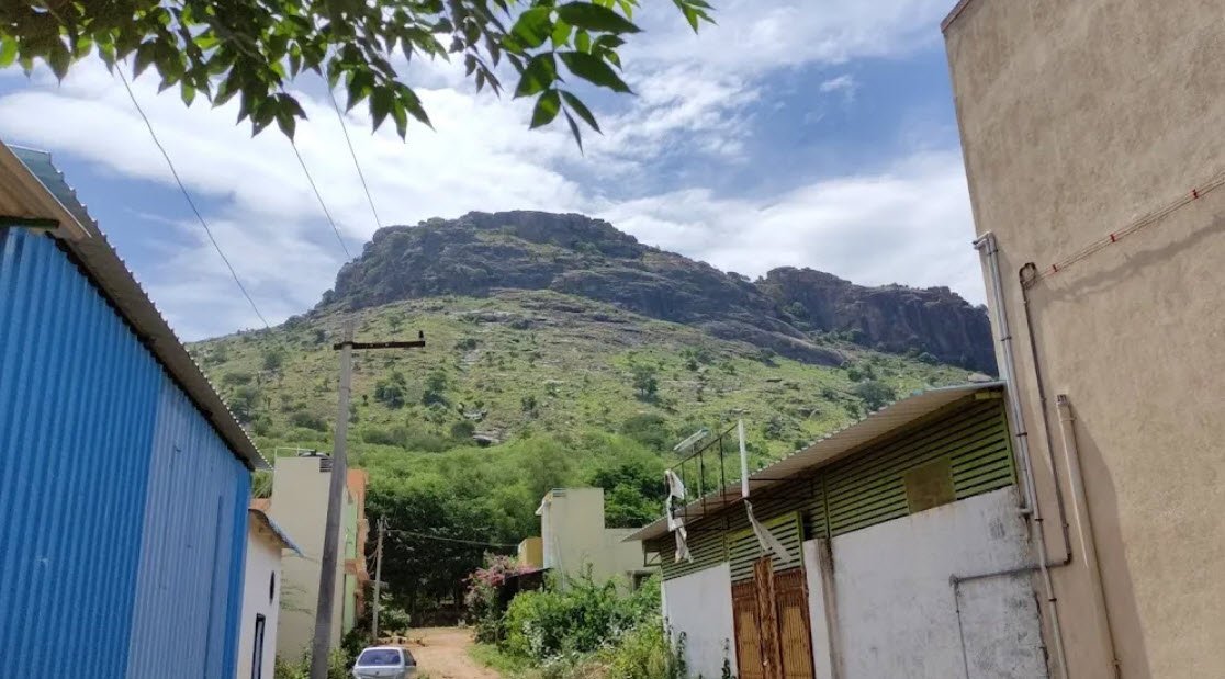 Toad Hill, Vellore, Tamil Nadu - Vushii.com Toad Hill, Vellore, Tamil Nadu - Vushii.com